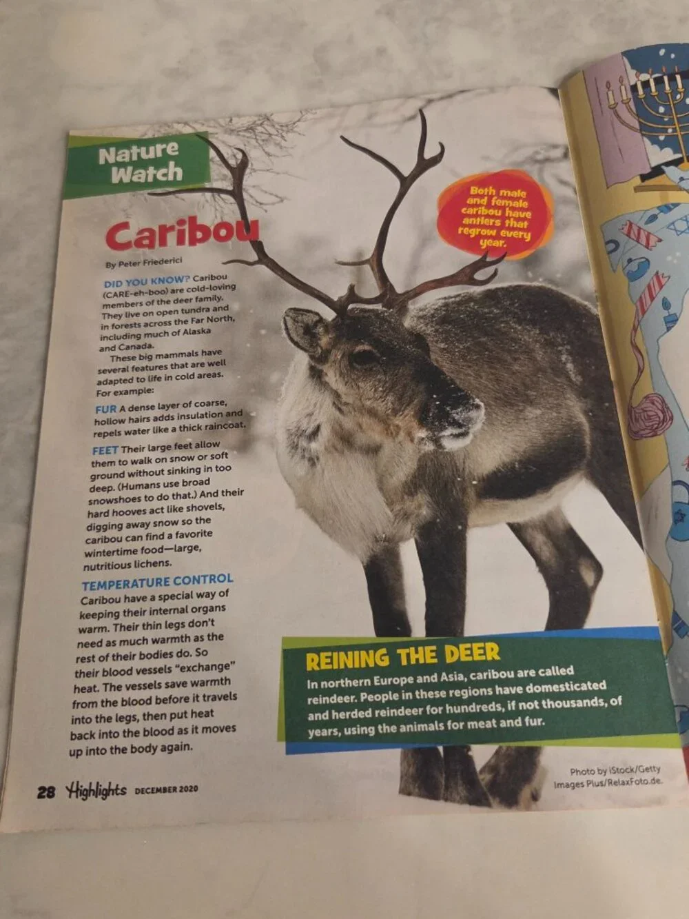 HIGHLIGHTS, FOUR ACTIVITY KIDS' MAGAZINES